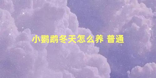 小鹦鹉冬天怎么养 普通